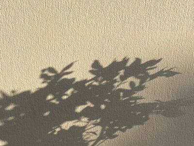 Abstract shapes of light on a neutral wall