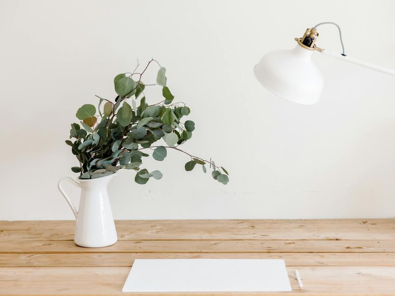 Minimalist bright workspace with green plants and soft lighting