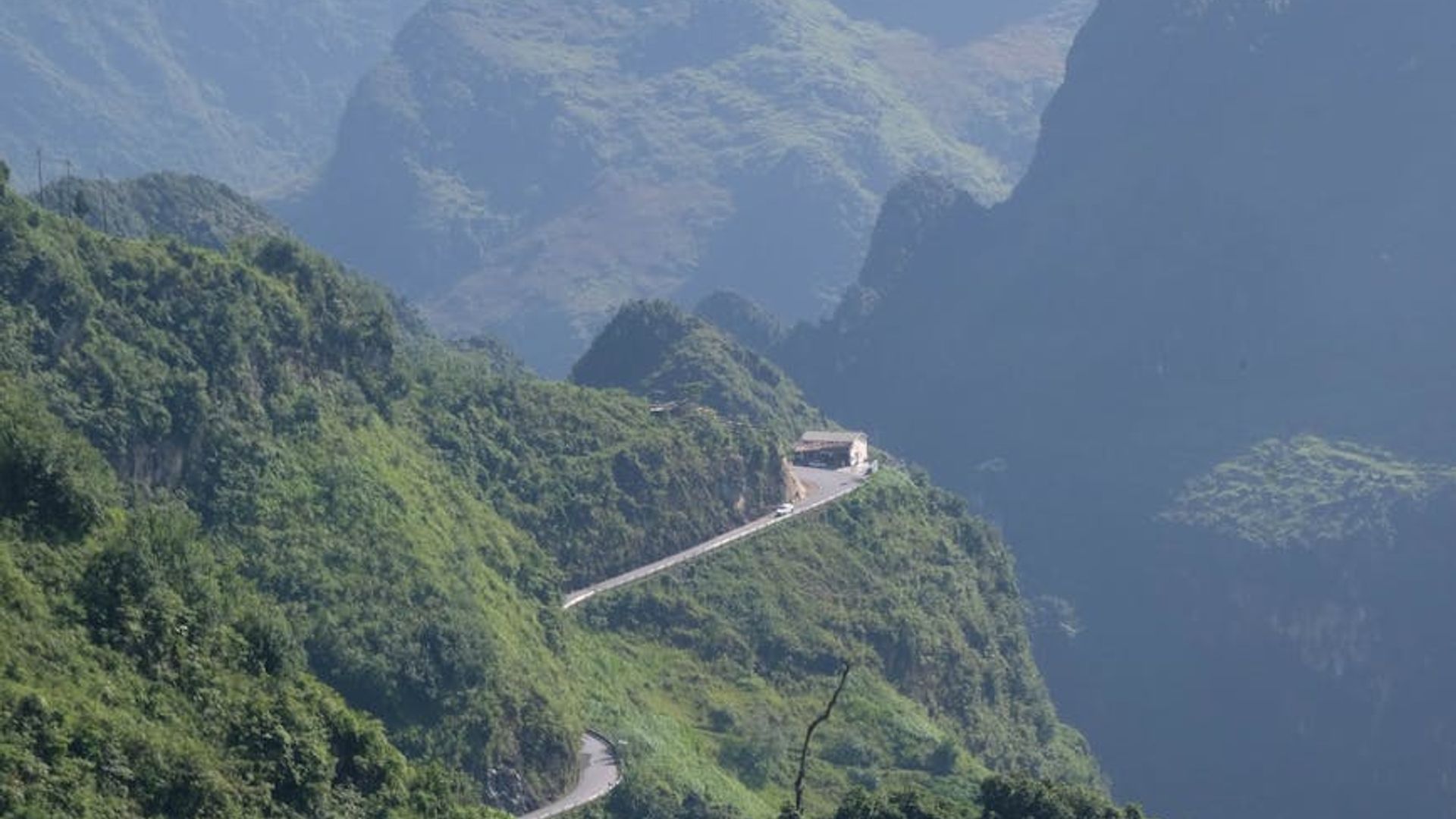 Serene natural landscape with deep green forest and clear sky